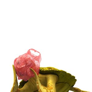 Bilder Fischen Impossible - Eine tierische Rettungsaktion