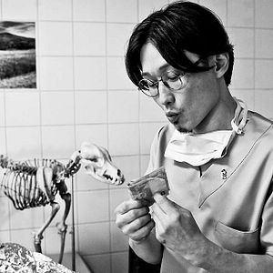 Bilder Jacques Richard (II)