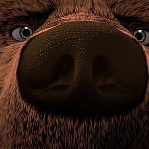 Bilder Der große Bär