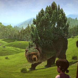 Bilder Der große Bär