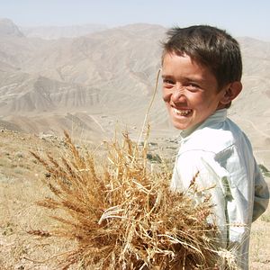 Bilder The Boy Mir - Ten Years In Afghanistan