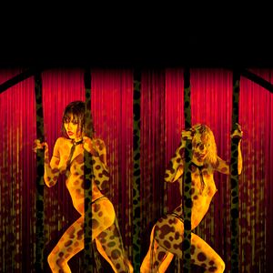 Bilder Frederick Wiseman