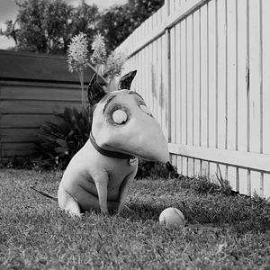 Bilder Frankenweenie