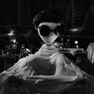 Bilder Frankenweenie
