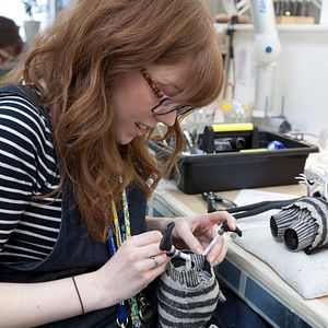 Bilder Frankenweenie