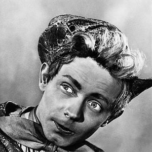 Bilder Das tapfere Schneiderlein