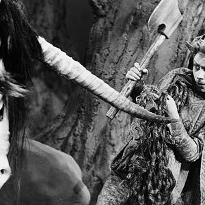 Bilder Das tapfere Schneiderlein