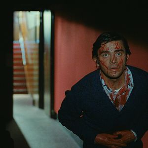 Bilder Dernière Séance