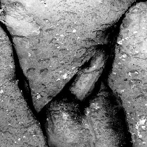 Bilder Qu'ils reposent en révolte