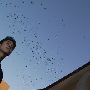 Bilder Agnus Dei: Cordero de Dios