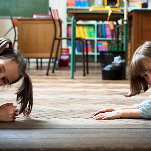 Bilder Die Pustebumen