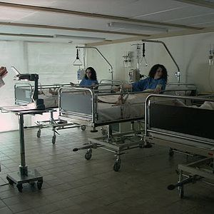 Bilder Human Centipede