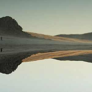 Bilder ¡Vivan las Antipodas!