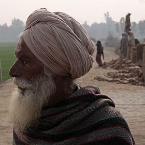 Bilder Alms of the Blind Horse