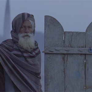 Bilder Alms of the Blind Horse