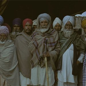 Bilder Alms of the Blind Horse