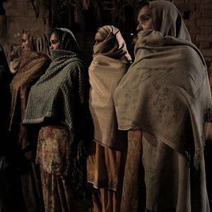 Bilder Alms of the Blind Horse