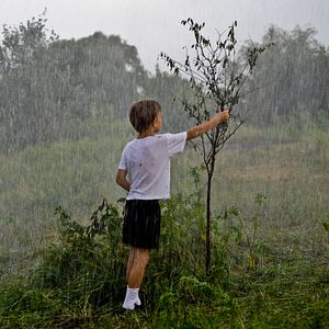 Bilder Verwundete Erde