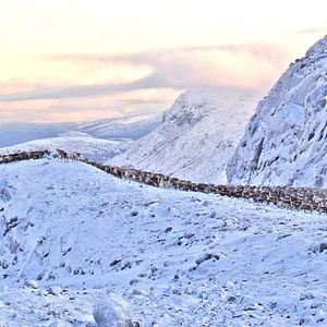 Bilder Jon face aux vents