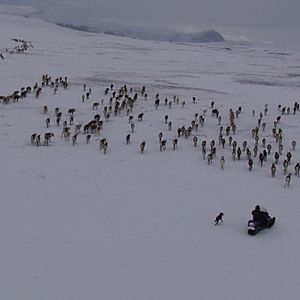 Bilder Jon face aux vents