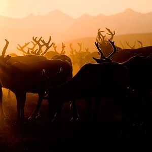 Bilder Jon face aux vents