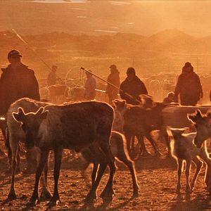 Bilder Jon face aux vents