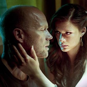 Bilder Das Wolfsjahr