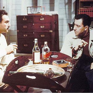 Bilder König der Wüste