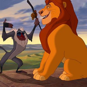 Bilder Der König der Löwen