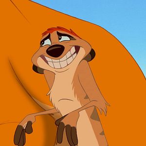 Bilder Der König der Löwen