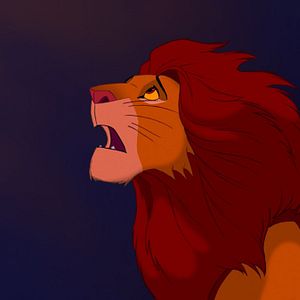 Bilder Der König der Löwen