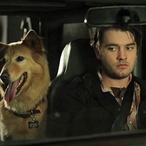 Bilder Chase Williamson