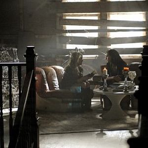 Bilder Phoebe Tonkin