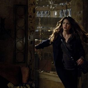 Bilder Shelley Hennig