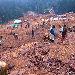 Bilder Blood in the Mobile