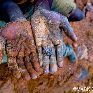 Bilder Blood in the Mobile