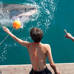 Bilder John Stockwell