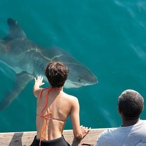 Bilder John Stockwell