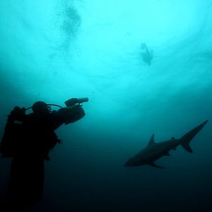 Bilder John Stockwell