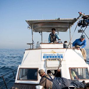 Bilder John Stockwell