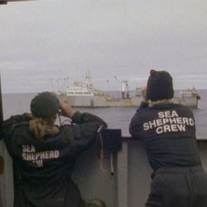 Bilder Bekenntnisse eines Öko-Terroristen