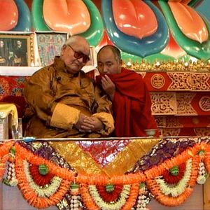 Bilder Wiederkehr - My Reincarnation