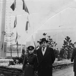 Bilder Brasch - Das Wünschen und das Fürchten