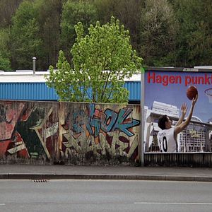 Bilder Phoenix in der Asche