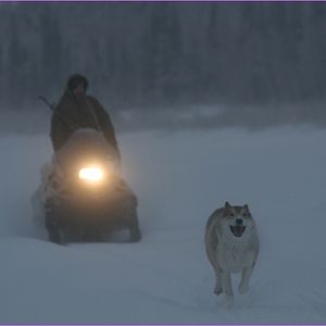 Bilder Happy People: Ein Jahr in der Taiga