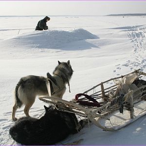 Bilder Happy People: Ein Jahr in der Taiga