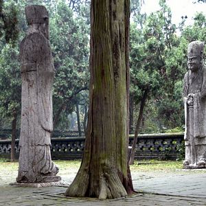 Bilder Wandlungen - Richard Wilhelm und das I Ging