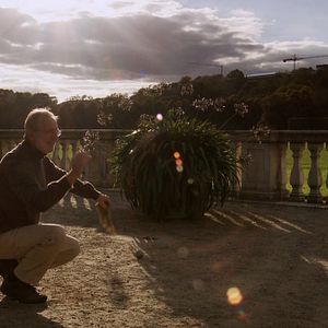 Bilder Wader Wecker Vater Land