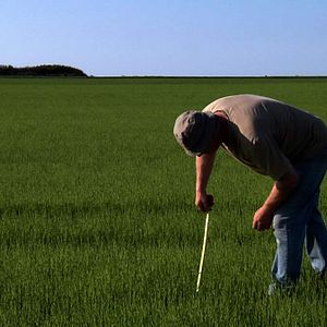 Bilder La Pluie et le beau temps