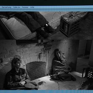 Bilder Die Wahrheit der Lüge